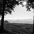 octobre