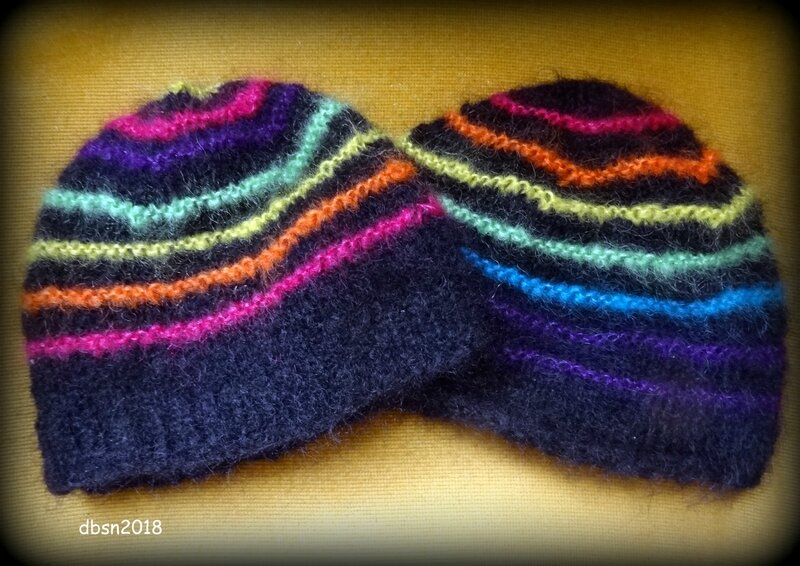 2017 tricot