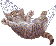 chat050