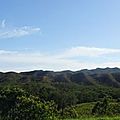 DSC03717