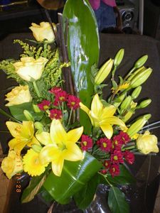 IMGP0137