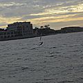 _DSC0600