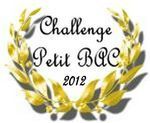 challenge_petit_bac_Enna_2012