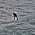 IMG_8771