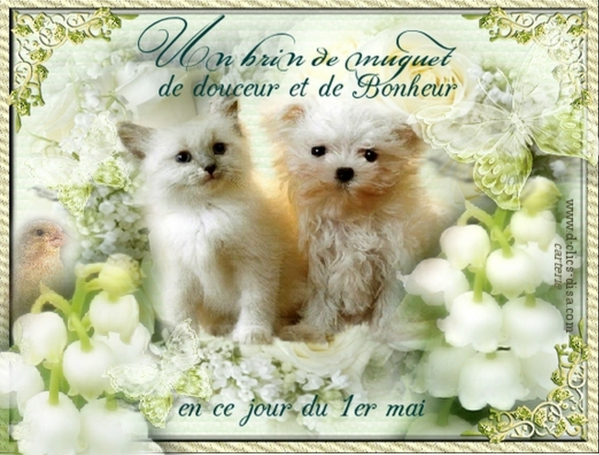 1er Mai Tous Les Messages Sur 1er Mai Des Ailes Aux Nuages