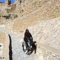 P1010913 - Copie