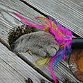 IMG_0197