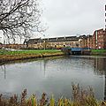 IMGP3323
