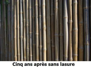 La fibre de Bambou - BellePaga