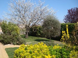 DSC04847