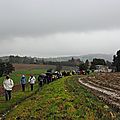 IMGP0630