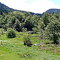ducournau3
