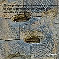IMGP9783-1