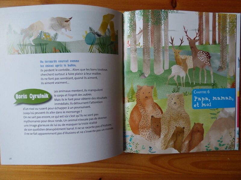 A l'école des animaux (3)