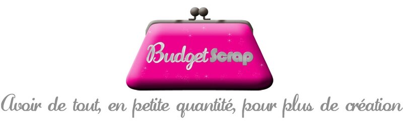 banniere blog budget scrap2