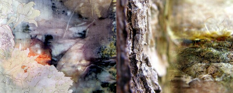bandeau accueil site