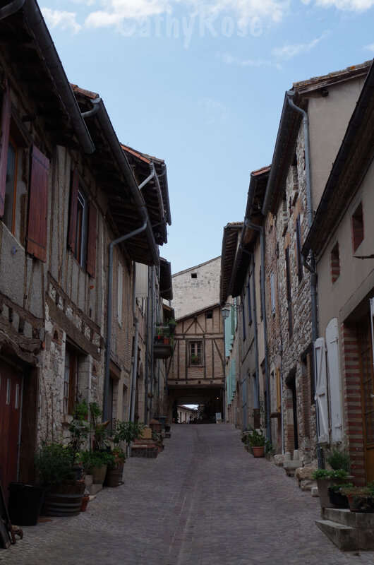 && Castelnau de Montmiral (36)