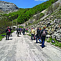 IMG_20190530_125534410