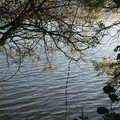 Etang de Vaulaurent