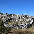 IMG_8703