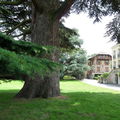 2009 - Arboretum de la Vallée aux Loups