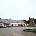 IMGP5275