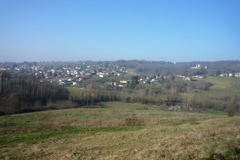 LES COTES D'AREY... Binchy and her hobbies