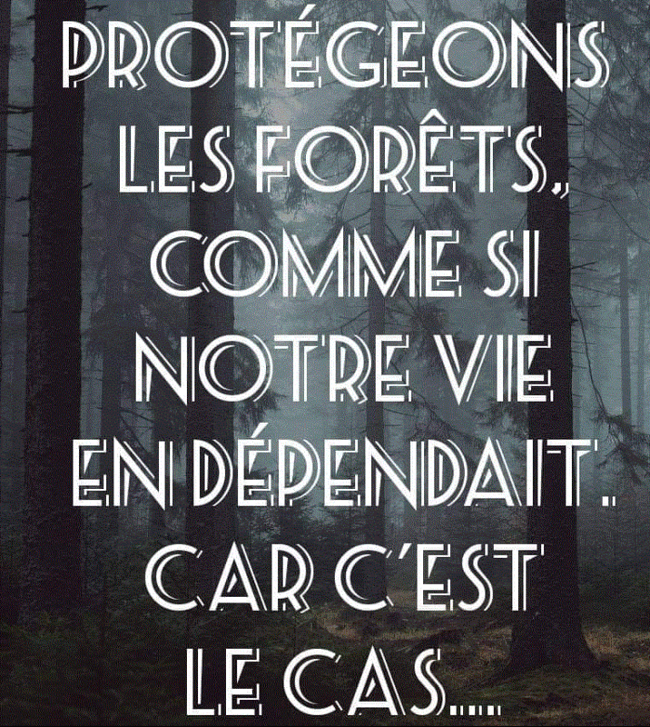 &aecologie4