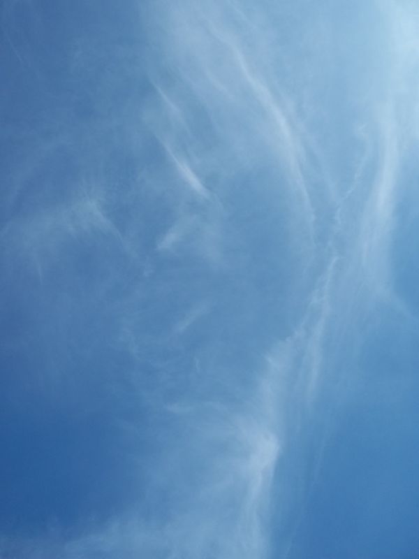 CHAPELET DES SEPT DOULEURS DE MARIE NOTRE DAME MIRACULEUSE DES ROSES