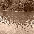 P1040466