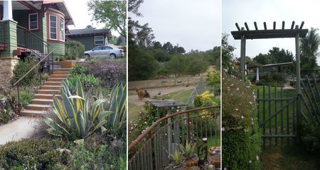 bnb pismo3