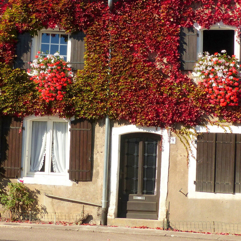 A PORTE FENETRE GRANDE GRILLES VASQUES FLEURS4