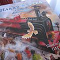 Harry potter à l'école des sorciers, de j.k. rowling, illustrations de jim kay