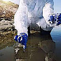 Du coronavirus dans les eaux usées ?