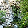 P1120764 (2)