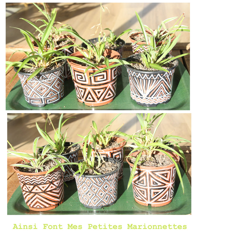 mini pots 2