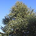 IMG_5626