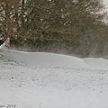 Z-9937 Promenade dans la neige le 12 mars 2013