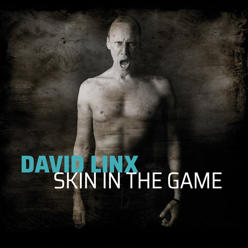 David Linx - Skin In The Game2