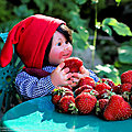 IMG_1462-1-2