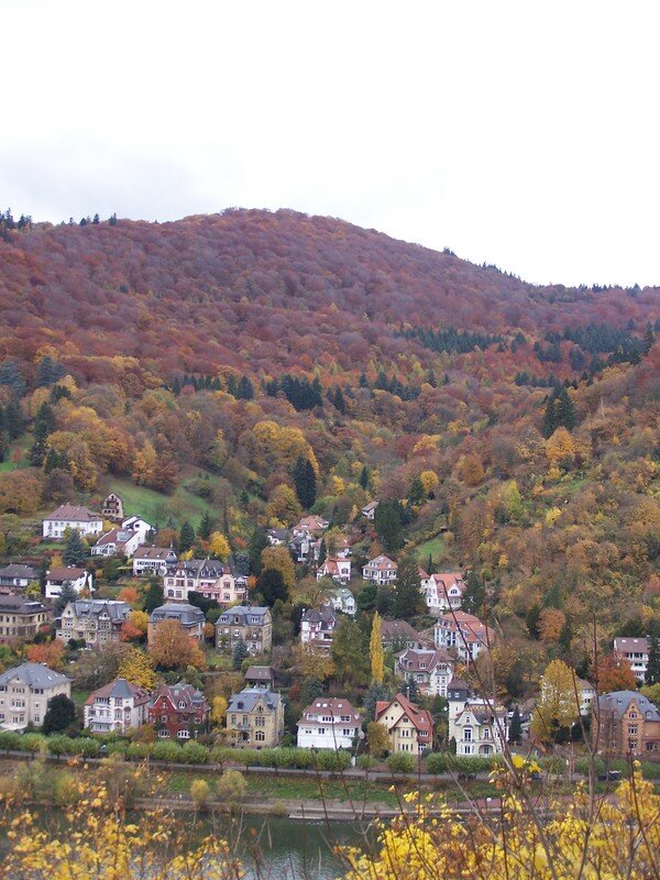 Week End De La Toussaint Knight Of Heidelberg