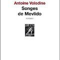 Antoine Volodine, Songes de Mevlido
