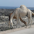 P1200670