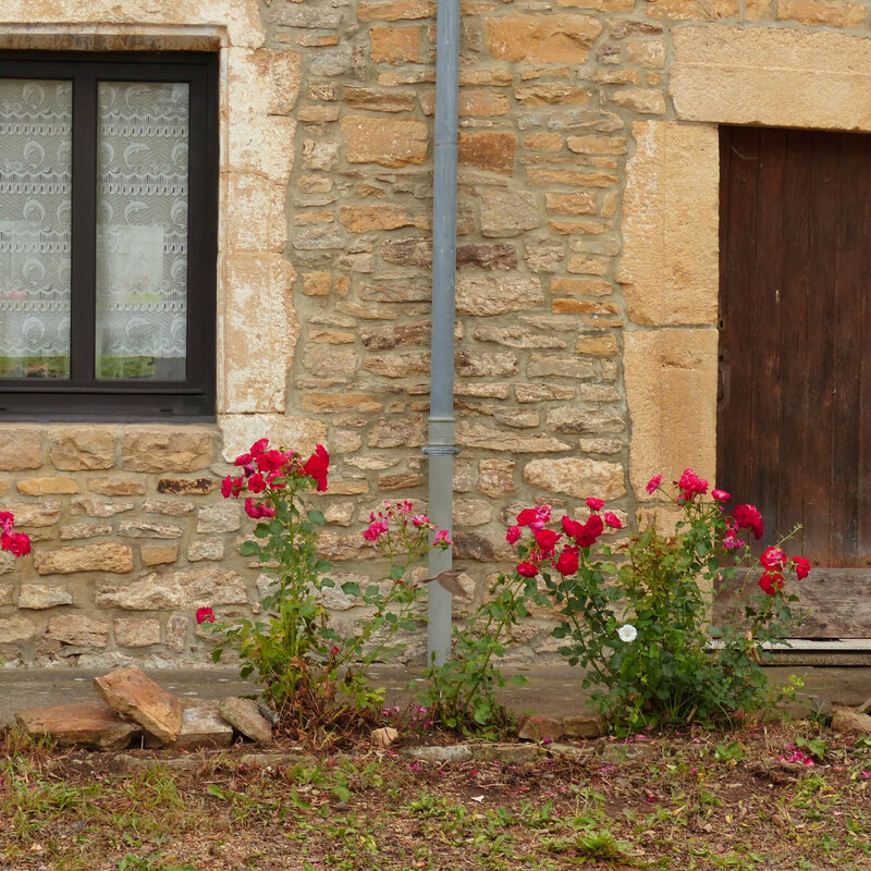 aaaaaa vasques et jardinières7