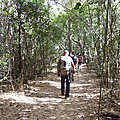 P1130849