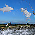 Pêcheur de saumons à susmiou 