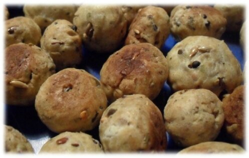 biscuitrongeur (3)