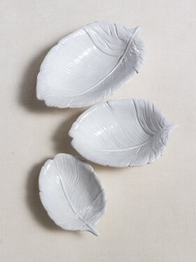 raviers plume
