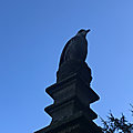 IMG_9401