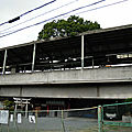 Kayashima, la gare avec un arbre au milieu